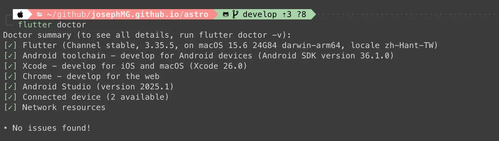 flutter-doctor