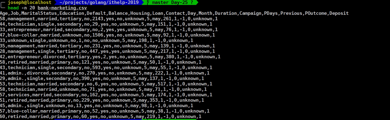 csv file